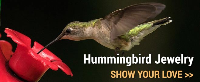 Hummingbird Jewelry